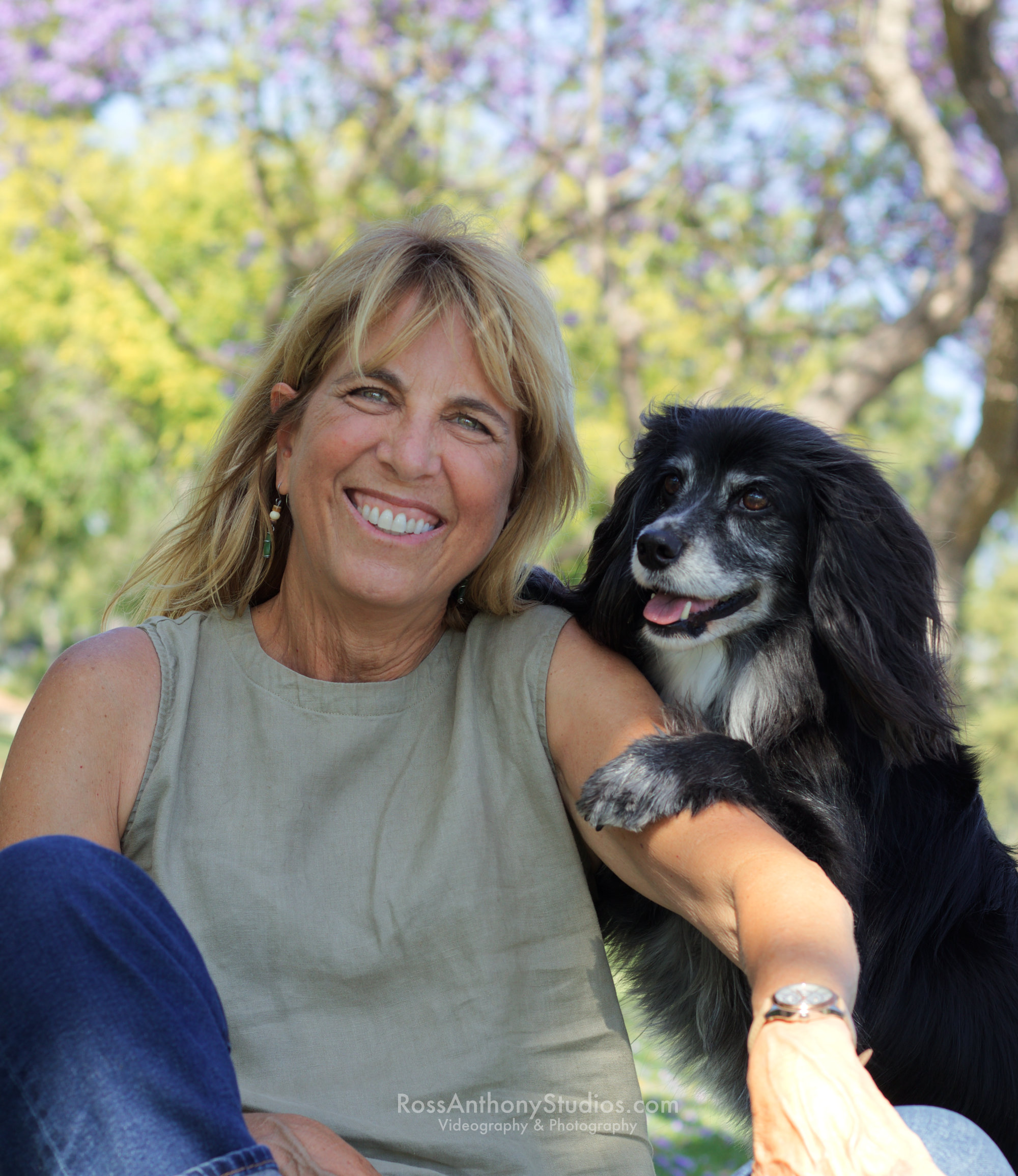 Pet Portrait  Photography