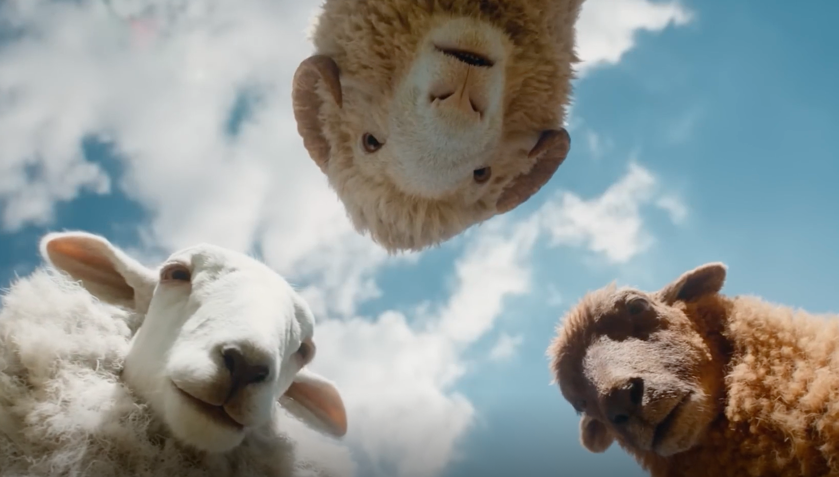 sheepdetectives